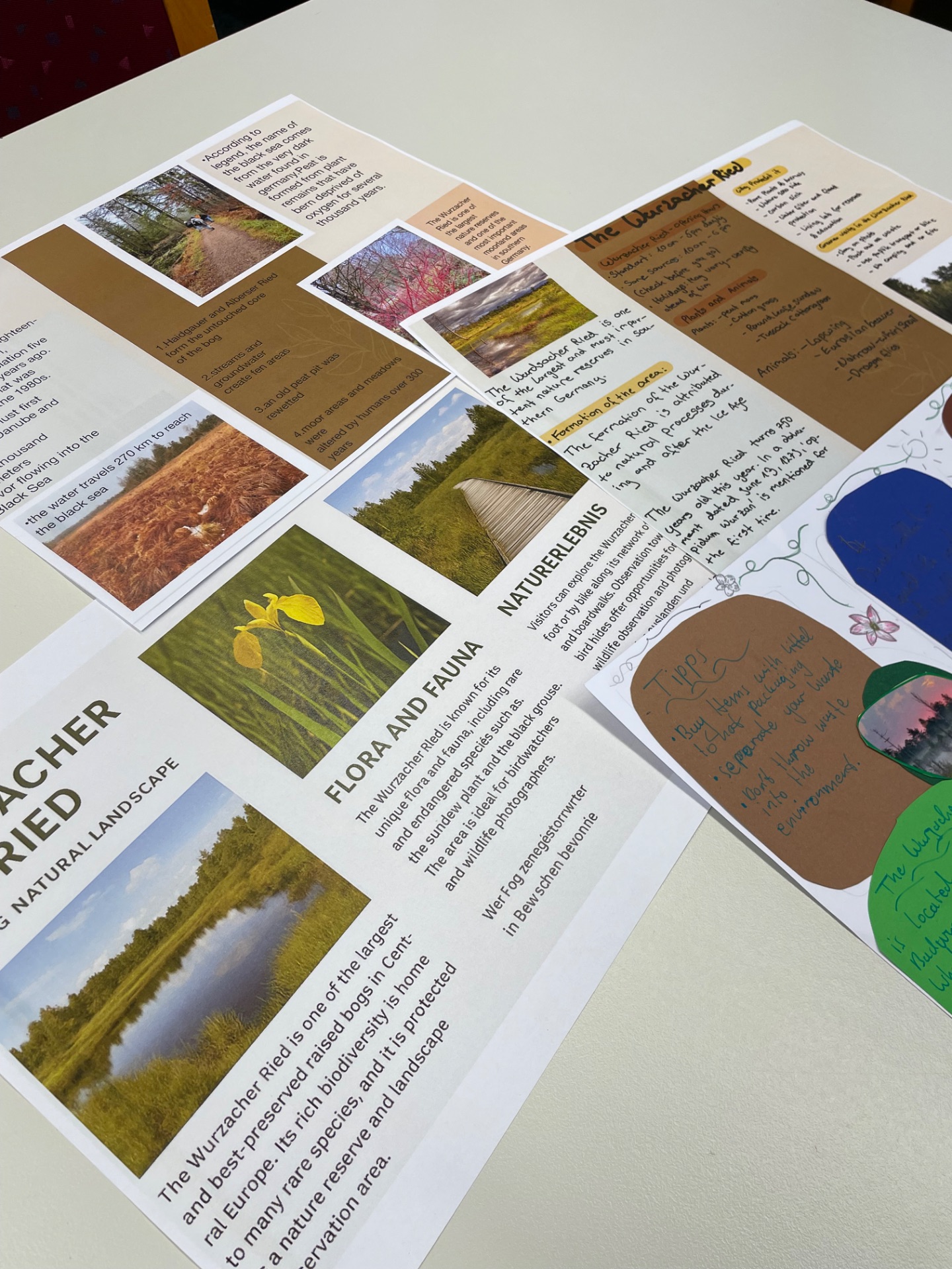 Erasmus-Austauschwoche_7